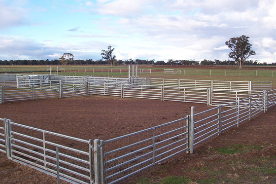 Painéis de quintal de gado galvanizados por imersão a quente para ovinos e caprinos