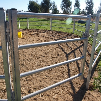 Os rebanhos animais almofadam o baixo porco da barra 6 oval o gado do cerco que de fio galvanizou a cerca Panels dos rebanhos animais