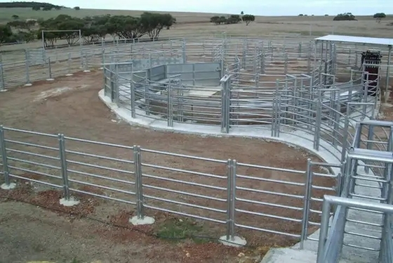 A cerca redonda Panels Heavy Duty dos rebanhos animais do metal do tubo 6ft galvanizou a cerca