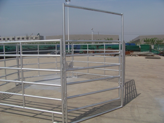Livro de gado 1.6m Portão de fazenda de metal Design de tubo de aço galvanizado