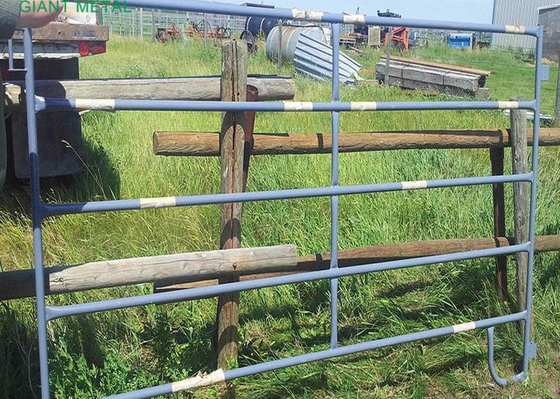 Portas resistentes da exploração agrícola de Panels Metal Galvanized da cerca dos rebanhos animais da altura de 1.6m