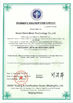 China Hebei Giant Metal Technology co.,ltd Certificações