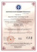 China Hebei Giant Metal Technology co.,ltd Certificações