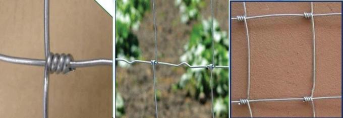 últimas notícias da empresa sobre O GADO ALTO GALVANIZADO COMPLETO dos CARNEIROS de VELDSPAN 1.2M FIXADO ATA a CERCA do CAMPO  1