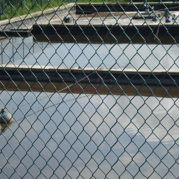 últimas notícias da empresa sobre Mesh Security Chain Link Fence  0