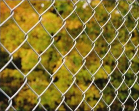 últimas notícias da empresa sobre Mesh Security Chain Link Fence  1