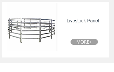 Barreiras metálicas para pedestres com distância interna do tubo 110 mm 120 mm 150 mm 9