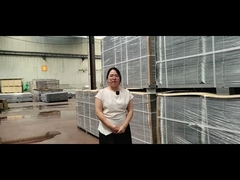 Embalagem de cerca 3D galvanizada