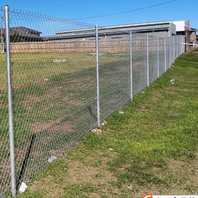 6ft 8ft 5x5 6x6 Galvanizado PVC revestido Chain Link Cercas para Cercas Agrícolas