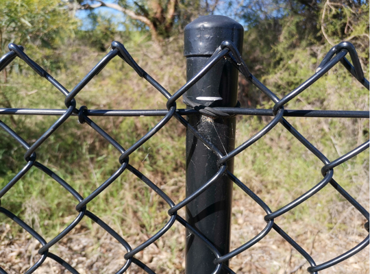 6ft 8ft 5x5 6x6 Galvanizado PVC revestido Chain Link Cercas para Cercas Agrícolas