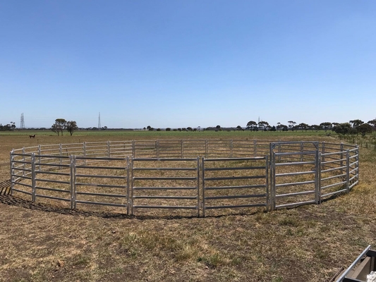 O Pvc revestido galvanizou o gado do metal de 12ft almofada o metal resistente em volta da cerca da jarda do cavalo de Pen Cattle Corral Livestock Farm