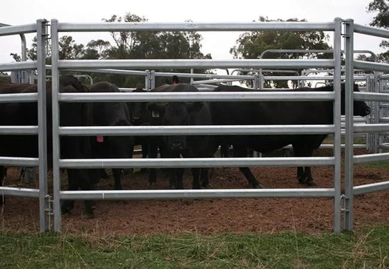 Gado de aço portátil de Panels Galvanized For da cerca dos rebanhos animais de exploração agrícola de Austrália