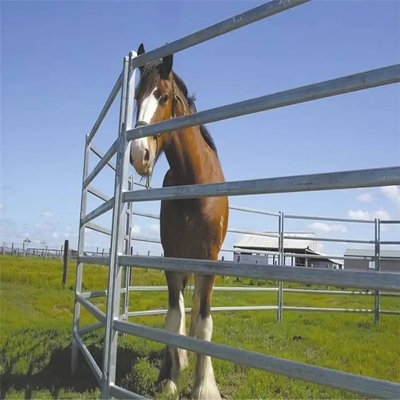 O cavalo cerca Panels Hot Dip dos rebanhos animais de 2.1m x de 1.8m galvanizou a tubulação