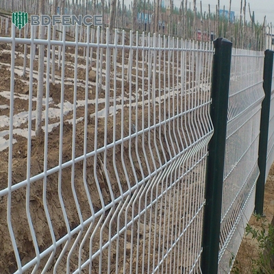 Painel de vedação de malha 3D de malha soldada de alta qualidade revestido de pó jardim preço barato sustentável