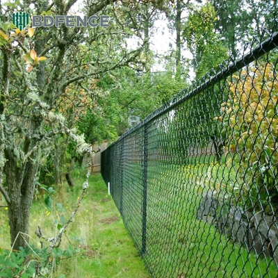 Técnica Tecido 5ft Galvanizado Chain Link vedação com PVC revestido de malha de arame e galvanização a quente