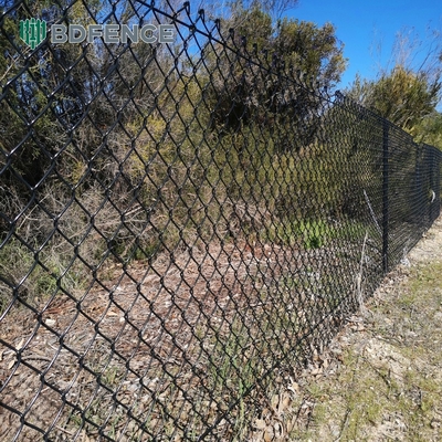 6ft de altura diamantes malha cadeia Link vedação ideal para jardim verde tipo de poste quadrado fazenda
