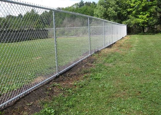 Jardim zoológico que protege o fio Diamond Chain Link Fence de 5mm