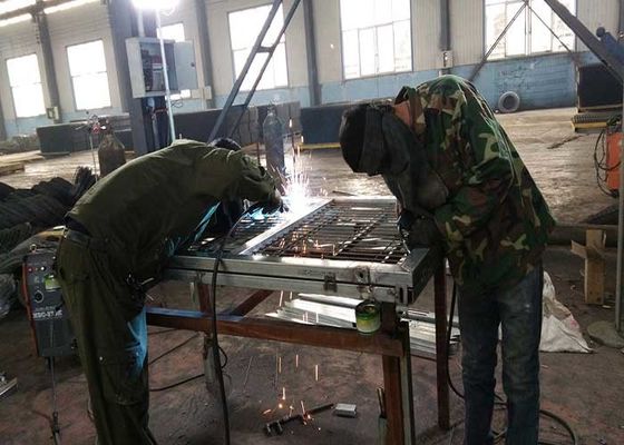 Decoração de jardim Cercas revestidas de arame galvanizado de aço 3D em Sliver
