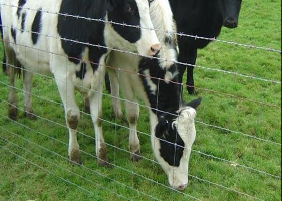 Os rebanhos animais galvanizados impedem a cerca comum do campo de exploração agrícola do fio da página da dobradiça