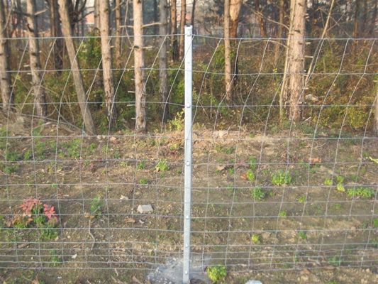 Cerca Panels For Deer dos rebanhos animais do campo de HGMT 1.8m