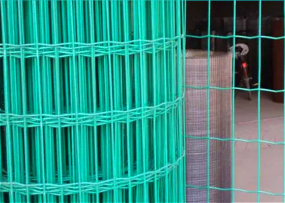 O PVC revestiu 50*50mm Holland Welded Wire Garden Fence
