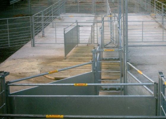 Tubo quadrado cerca soldada Panels For Cattle dos rebanhos animais
