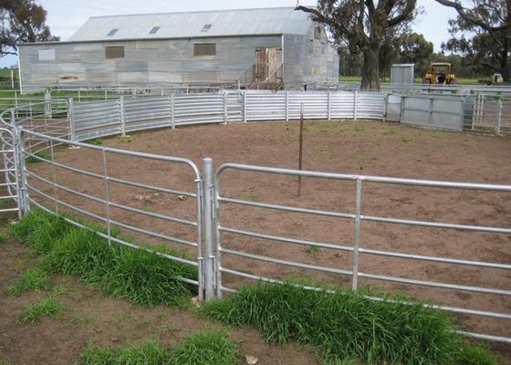 Exploração agrícola que bloqueia a cerca Panels dos rebanhos animais de L4m