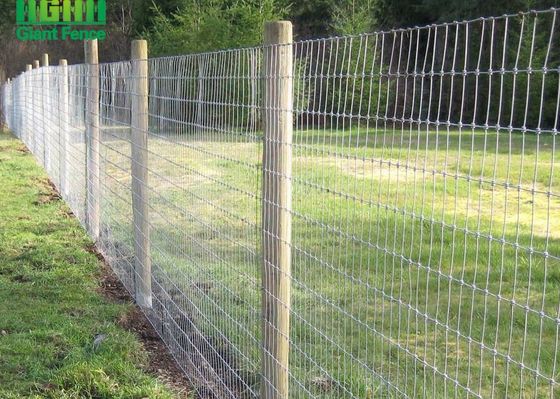 Painéis de Mesh Fixed Knot Livestock Fence do fio de aço de HGMT