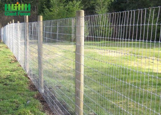 Cerca tecida de aço galvanizada do painel da exploração agrícola da junção de dobradiça do fio