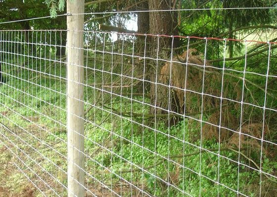 Cerca tecida de aço galvanizada do painel da exploração agrícola da junção de dobradiça do fio