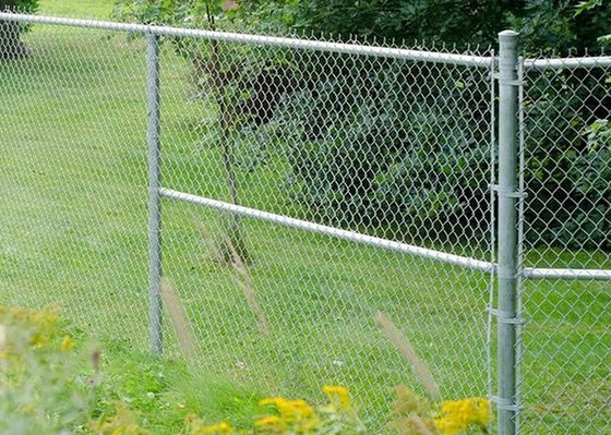 Fio Mesh Fencing do jardim do futebol Q195 de Chainlink da treliça