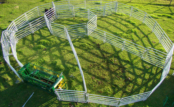 O gado do comprimento do ISO 2.1m cerca a exploração agrícola de Panels For Livestock